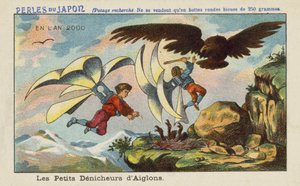 Robbing an eagle